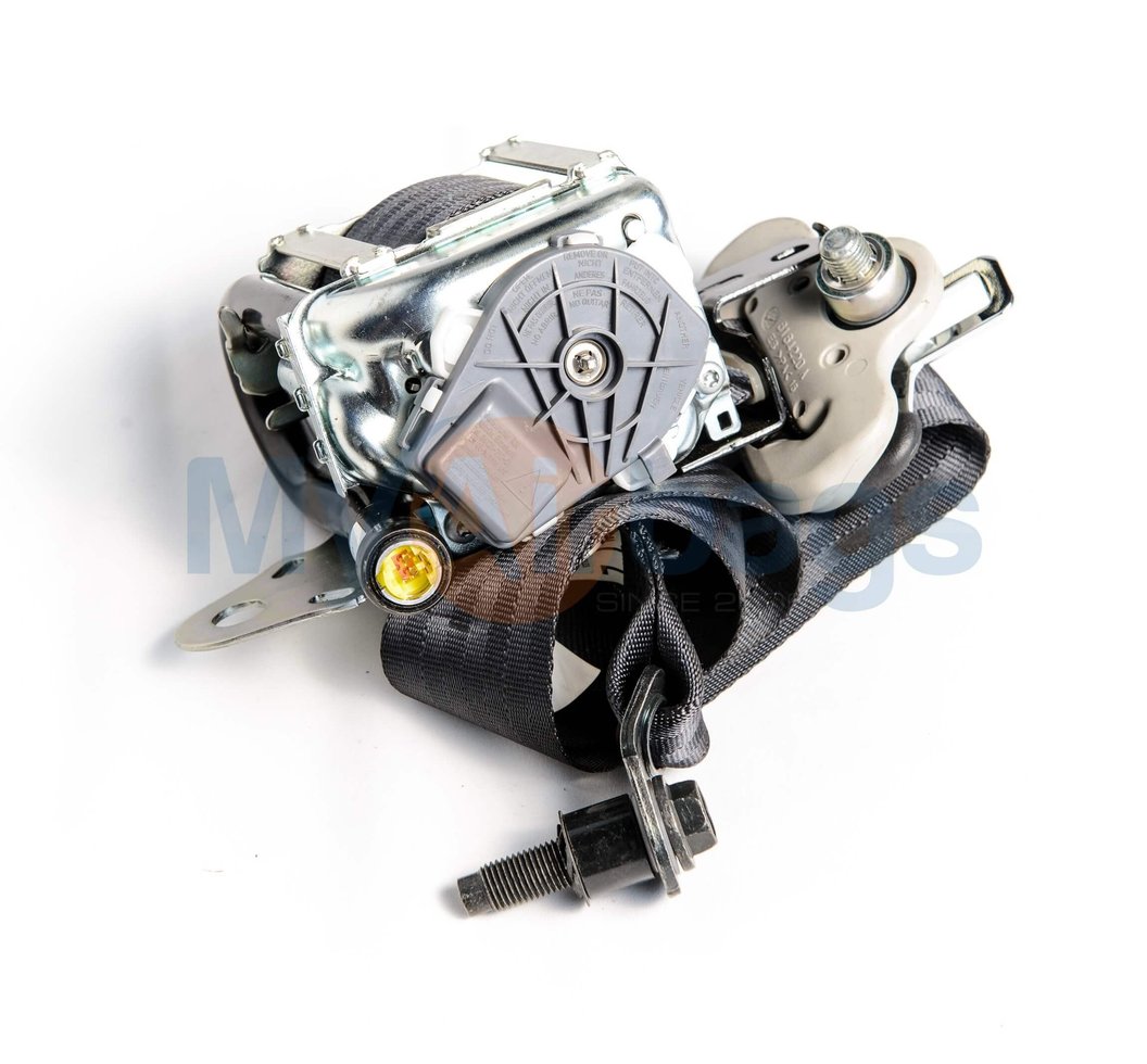 DogChewed Seat Belt Repairs and Replacements